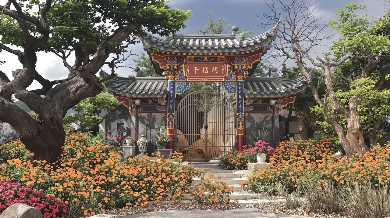 歌手巅峰 剧照 3